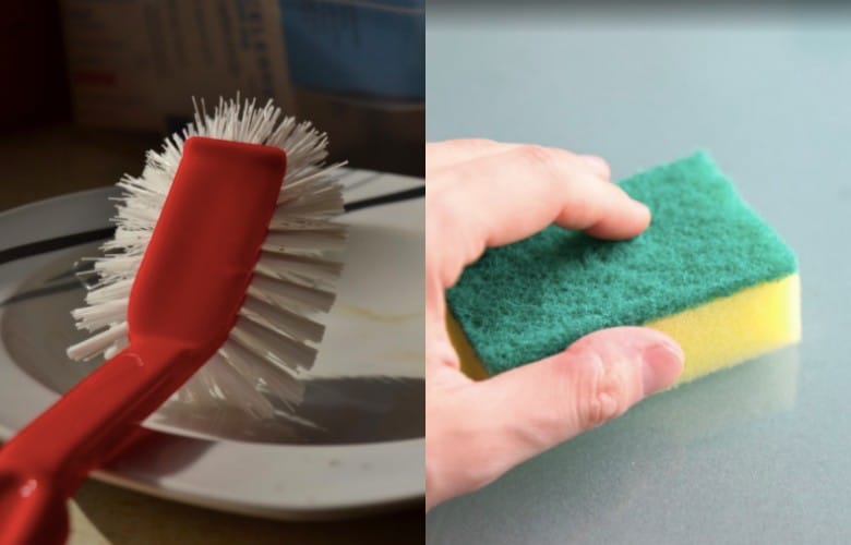 Dish brush vs. sponge what's the better option? We've got the answer!