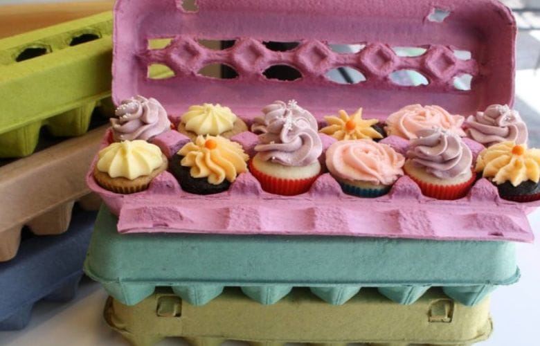 Don't throw out your empty egg cartons this is what you can do with