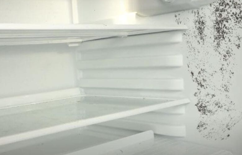 Got mould in your fridge? With this quick trick it'll be gone in no