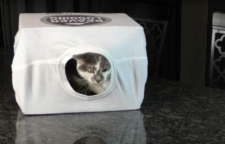 Don't throw away cardboard boxes; use them for these handy purposes