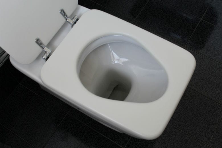 This is why you should always close the toilet lid before flushing